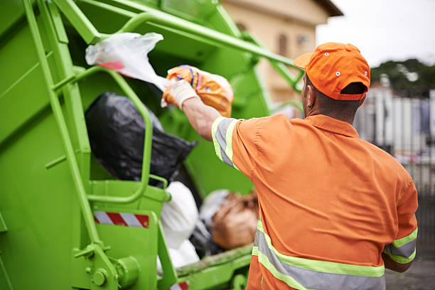 Best Shed Removal  in Aust, IN